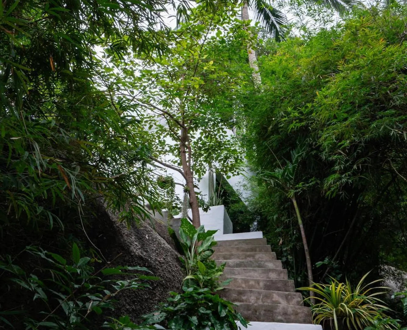 Lunar Villas Koh Tao - Luxury Private Pool Villas